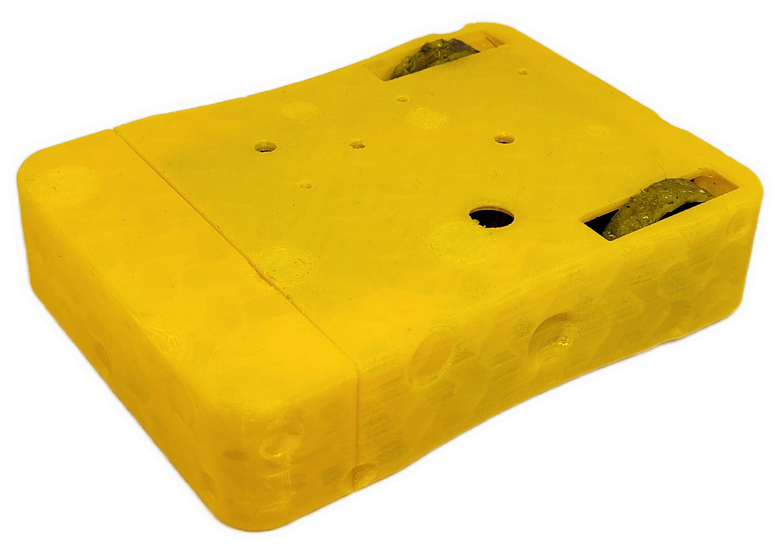 The Sponge